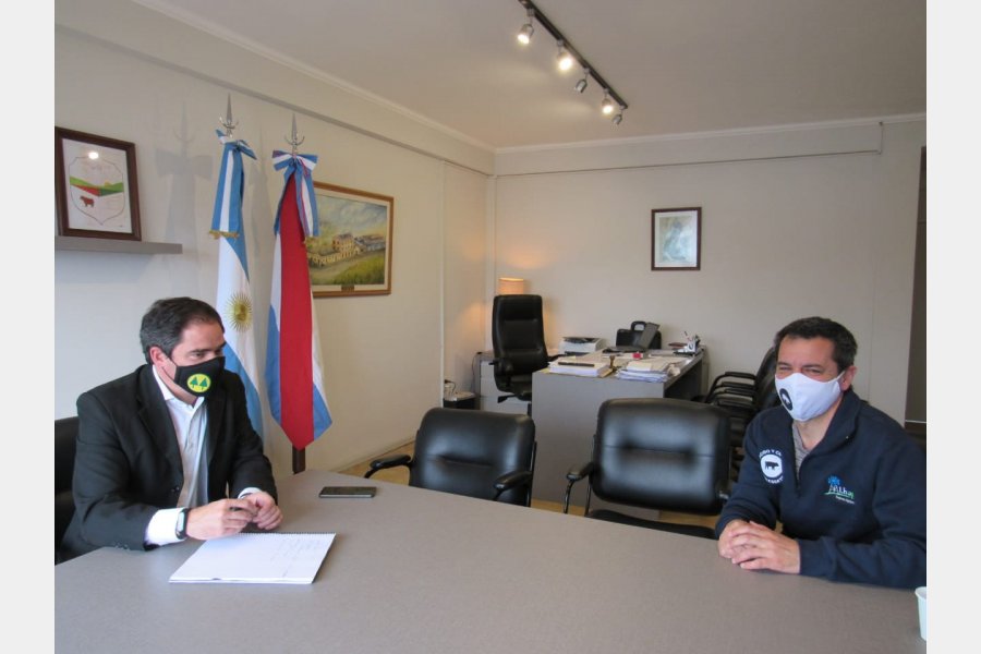 Granja de cerdos cercana a Larroque proyecta una importante inversión 