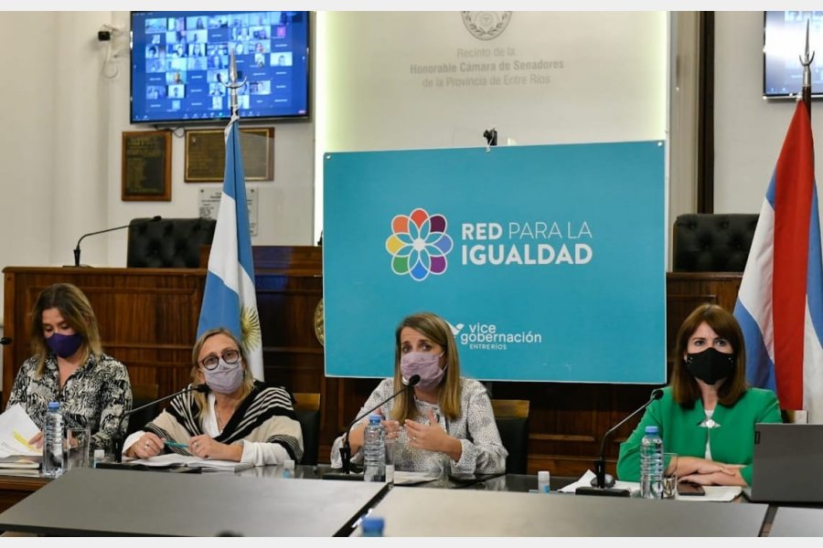 Larroque participó de una nueva instancia de la Red para la Igualdad