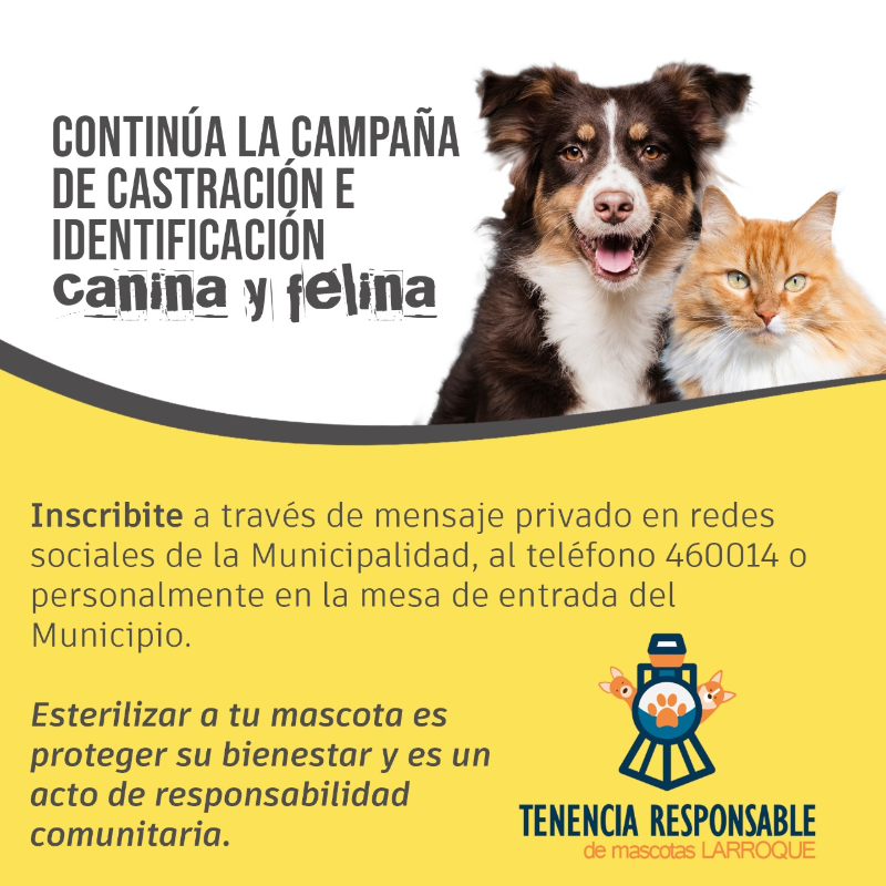 La Municipalidad de Larroque desarrolla la campaña de castración e identificación canina y felina