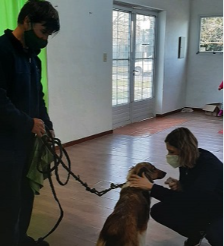 La Municipalidad de Larroque desarrolla la campaña de castración e identificación canina y felina