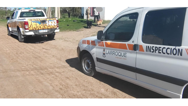 Inspección Municipal de Larroque, junto a la Brigada, notificaron a propietarios de animales que no pueden tenerlos en planta urbana