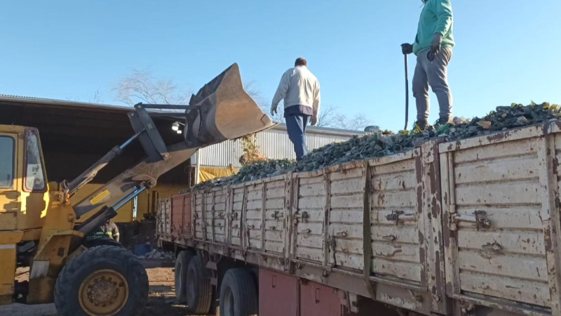 LA PLANTA DE RECICLADO DE LARROQUE RECUPERO UN TOTAL DE 52.000 KILOS DE MATERIAL