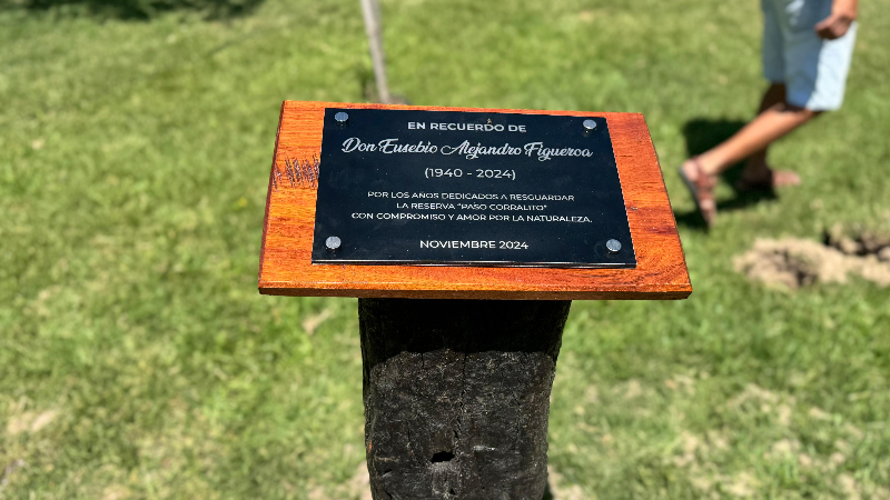 INAUGURACIÓN DE LA TEMPORADA 2024/2025 Y HOMENAJE A EUSEBIO FIGUEROA EN "EL CORRALITO"