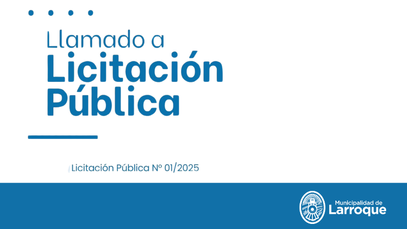LICITACIÓN PÚBLICA N.° 01/2025: VENTA DE BINES MUNICIPALES DESAFECTADOS