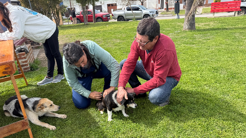 JORNADA DE VACUNACIÓN ANTIRRÁBICA EN LARROQUE