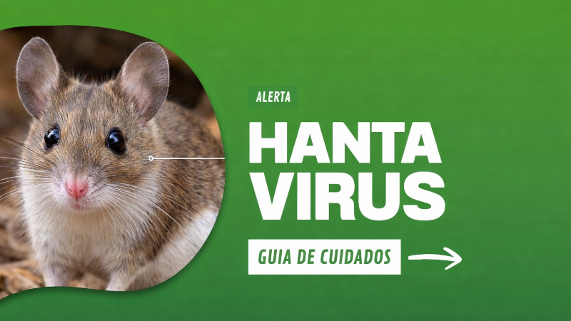 PREVENCIÓN DEL HANTAVIRUS: INFORMACIÓN CLAVE PARA CUIDARNOS