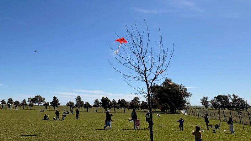 BARRILETEADA 2026: UNA TARDE PARA DISFRUTAR EN FAMILIA