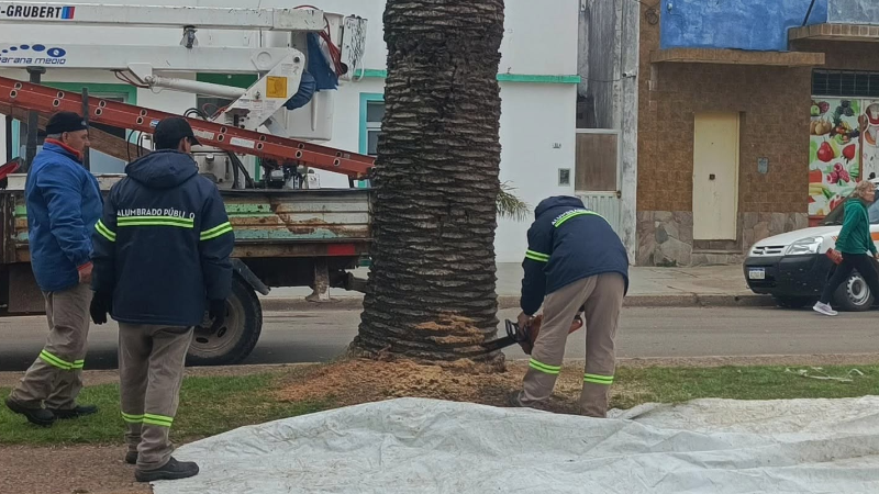 SENASA REALIZÓ UNA INSPECCIÓN SANITARIA EN PALMERAS DE LARROQUE